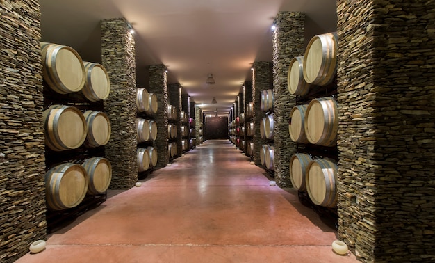 Bodega larga con barriles de vino.