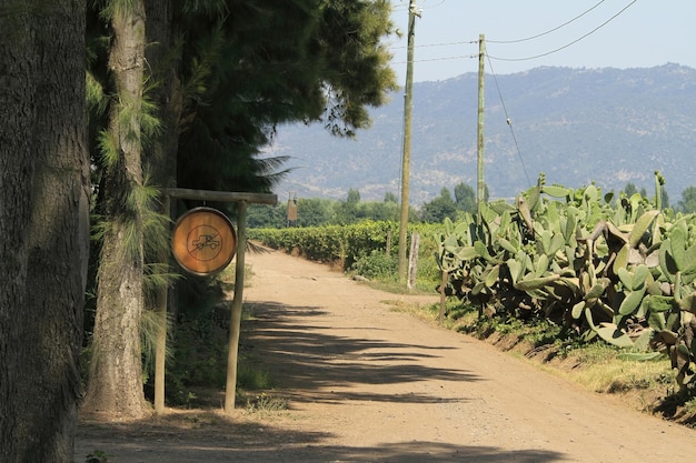 Bodega en Santa Cruz Chile