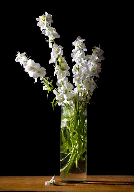 Bodegón artístico con hermosas flores blancas en jarrón