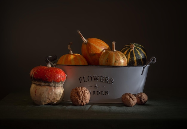 Bodegón con calabaza y nueces. retro de la vendimia