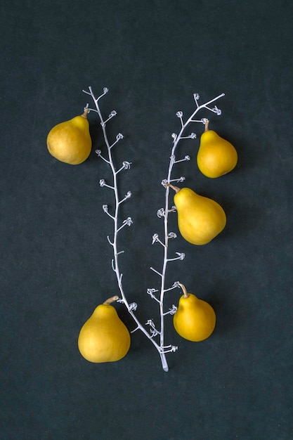 Bodegón con calabazas decorativas amarillas en forma de pera sobre una ramita blanca