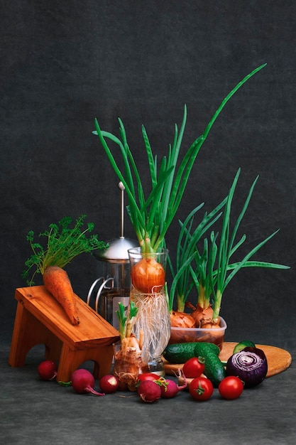 Bodegón con cebollas tomates pepinos zanahorias y rábanos