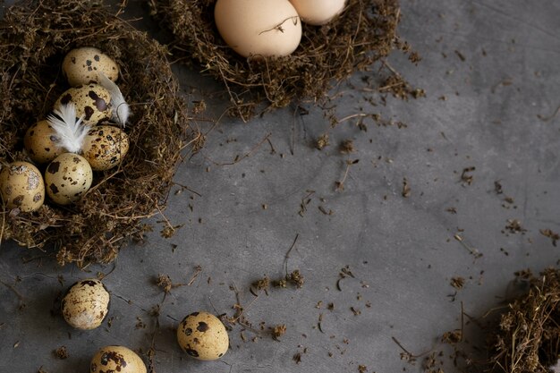 Bodegón conceptual con huevos de gallina y codorniz en el nido sobre fondo oscuro