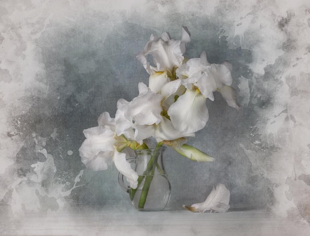 Bodegón con flores de iris blanco en jarrón sobre fondo gris para carteles de pared