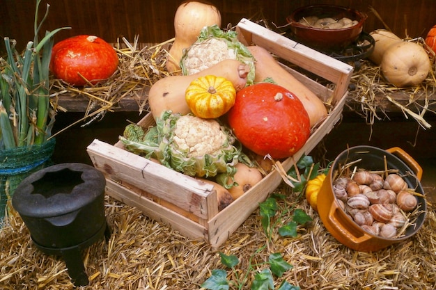 Bodegón hecho de verduras de invierno