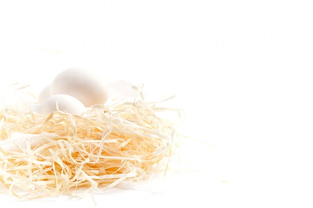 Bodegón de huevos, Huevos sobre la hierba seca.