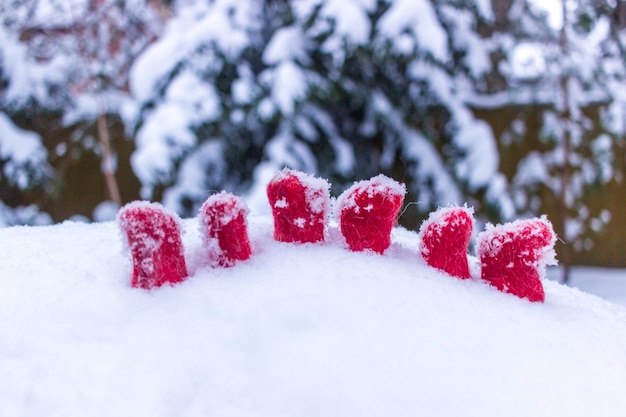 Foto bodegón de invierno pequeñas botas rojas en la nieve