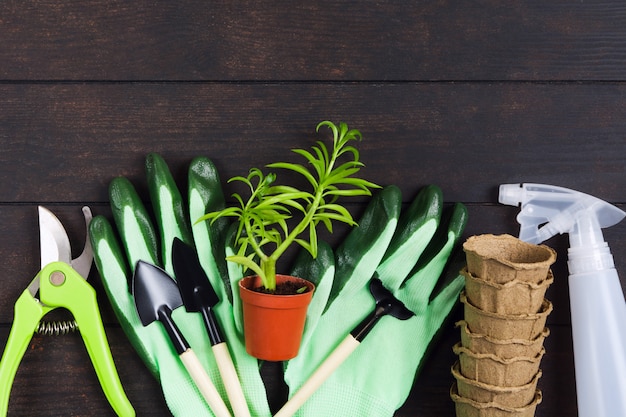 Bodegón de jardinería, estilo plano. Suculentas, guantes, macetas, podadoras y rociadores