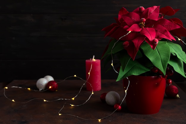 Bodegón navideño con flor de Pascua, gaultheria y decoraciones en mesa de madera