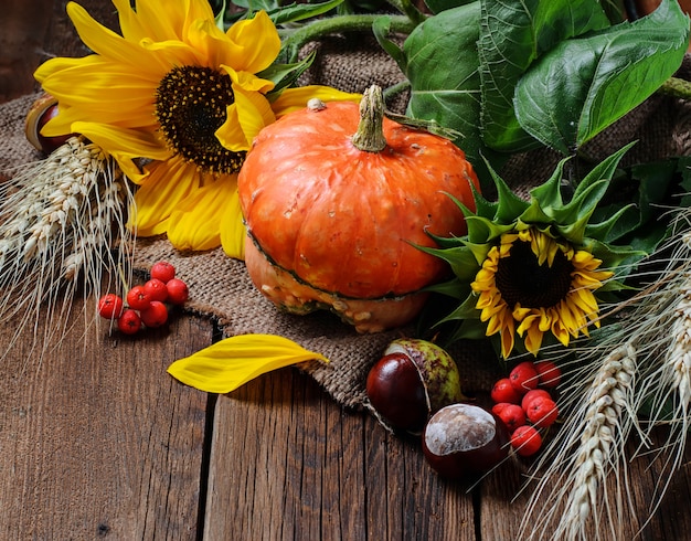 Bodegón otoñal con calabaza y girasol.