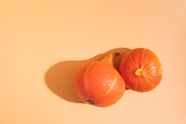 Bodegón otoñal de calabaza naranja y sombras duras sobre fondo naranja