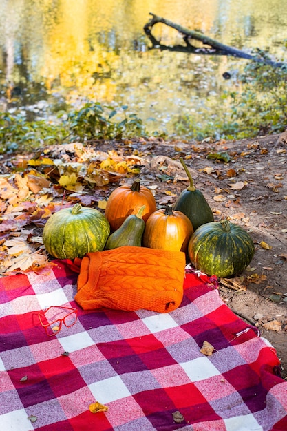 Bodegón otoñal con calabazas