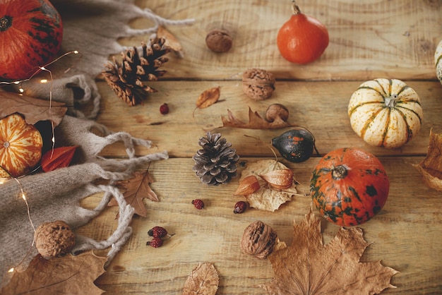 Bodegón de otoño Calabazas lindas hojas de otoño conos nueces bufanda acogedora en mesa de madera rústica en casa de campo Caída en casa rural Banner de otoño de Acción de Gracias feliz