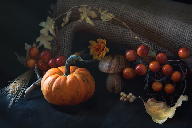 Bodegón de otoño en clave baja con calabaza naranja pequeña y decoraciones de otoño