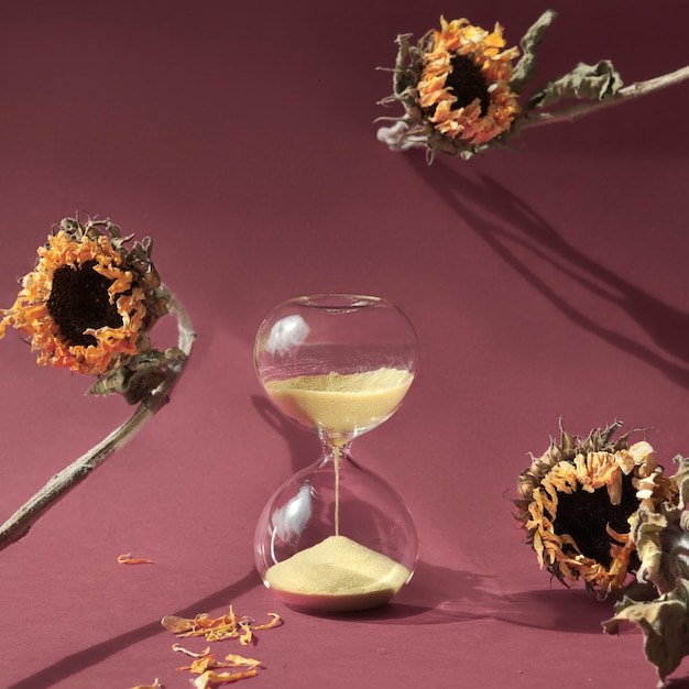 Bodegón de otoño con reloj de arena y plantas secas naturales Girasoles secos orejas de trigo y reloj de arena en papel rosa con largas sombras El reloj de arena también se conoce como reloj de arena