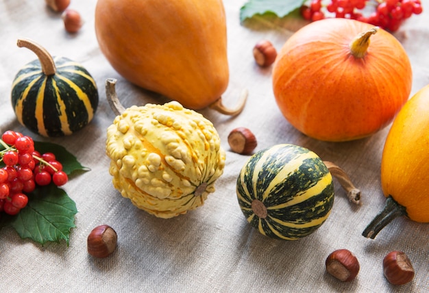 Un bodegón de otoño rústico con calabazas sobre fondo textil