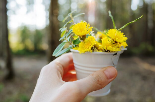 Bodegón de un pequeño cubo de flores y verdes en la mano de una mujer