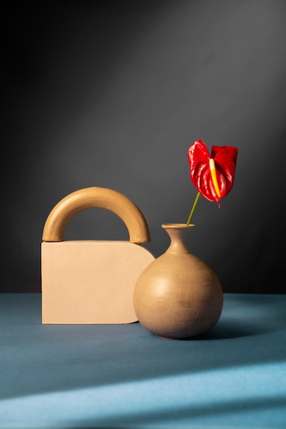 Foto bodegón con plantas deco.