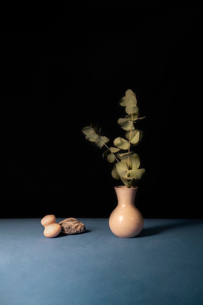 Foto bodegón con plantas deco.