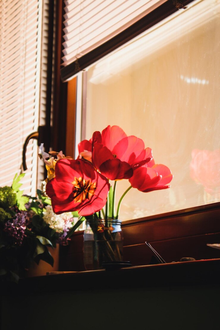 Bodegón con tulipanes rojos en el alféizar de una ventana
