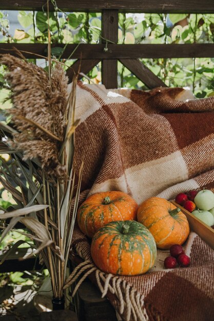 Bodegón con una variedad de calabazas y verduras y frutas de temporada Temporada de otoño