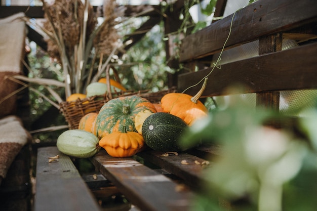 Bodegón con una variedad de calabazas y verduras y frutas de temporada Temporada de otoño