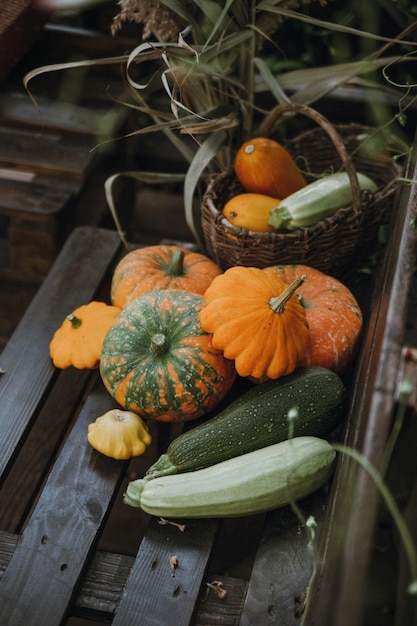 Bodegón con una variedad de calabazas y verduras y frutas de temporada Temporada de otoño