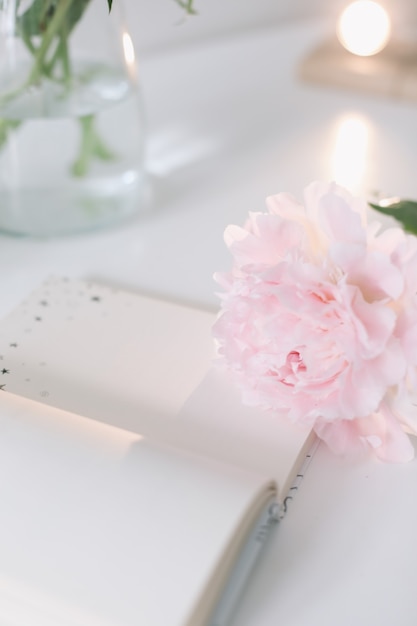 Bodegón de verano con flores de peonía rosa y libro abierto