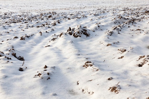 Boden ist mit Schnee bedeckt