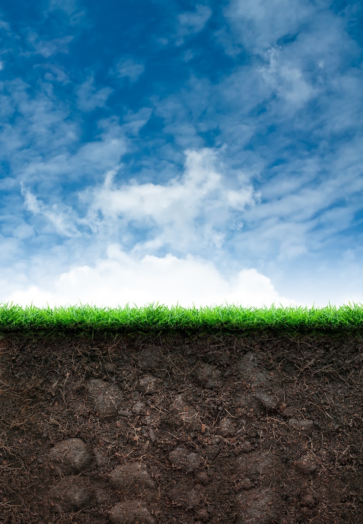Foto boden mit gras und blauem himmel