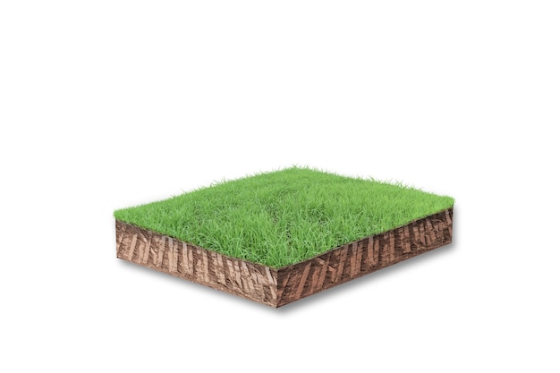 Bodenkubischer Querschnitt mit grünem Gras lokalisiert auf Weiß