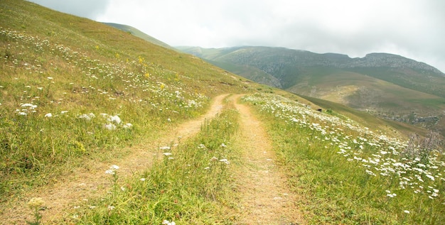 Bodenstraße in der Natur Armenien Sommer