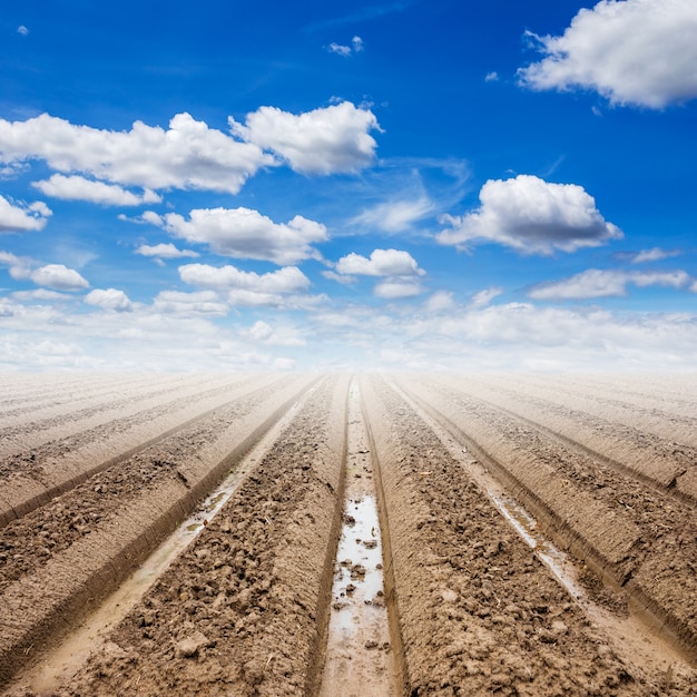 Bodenvorbereitung und blauer Himmel in der Feldlandwirtschaft