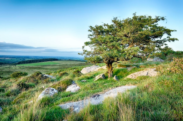 Bodmin Moor