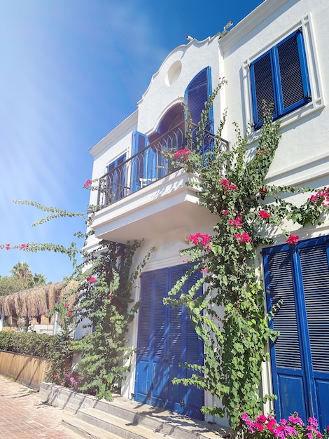 BODRUM, TURQUÍA. Flores de buganvilla rosadas y antigua puerta azul en la casa blanca en Bodrum. Casa tradicional de Bodrum.