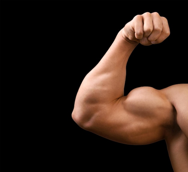 Bodybuilder Bizeps