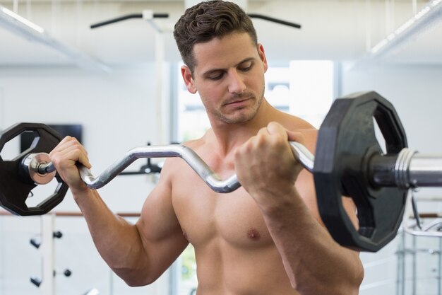 Bodybuilder focalizado sem camisa levantando peso pesado da barra