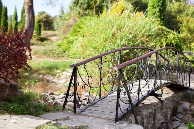 Bogen Holzbrücke im Park mit Herbstlaub