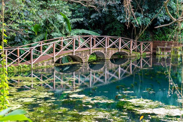 Bogenbrücke auf einem See mit Reflexion, Tansania, Ostafrika. Steg über einen Teich