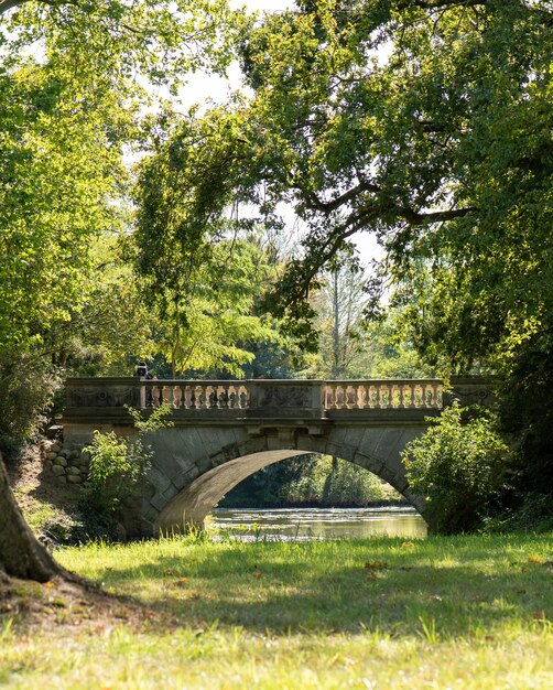 Foto bogenbrücke im wald