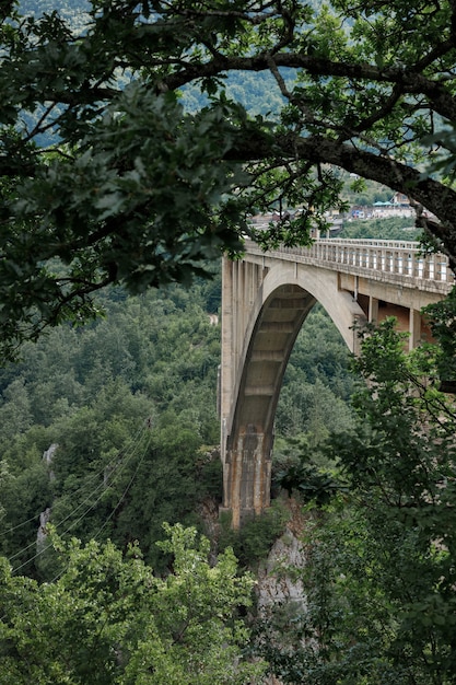 Bogenbrücke in den Bergen Seitenansicht durch Bäume