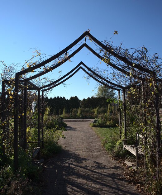 Foto bogenweg im botanischen garten