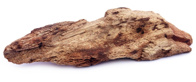 Bogwood decorativo aislado sobre fondo blanco.