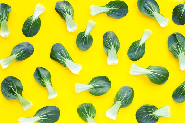 Bok Choi auf gelbem Hintergrund.