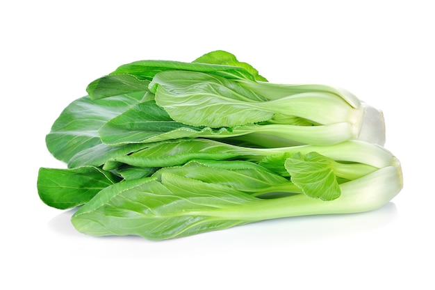 Bok Choy (Chinakohl) lokalisiert auf Weiß