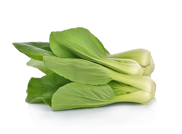 Bok Choy (Chinakohl)