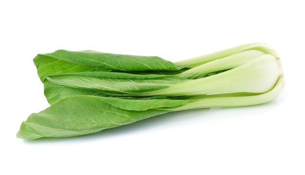 Bok choy (couve chinesa) isolado no fundo branco