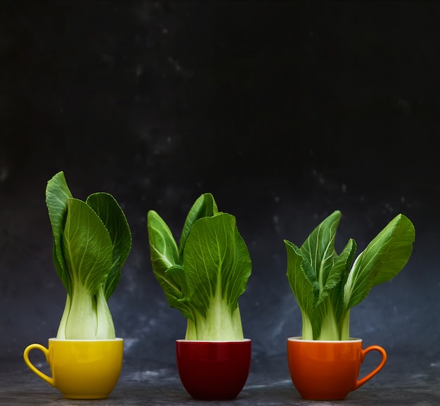 Bok choy em copos de cores vivas