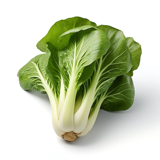 Bok choy em fundo branco