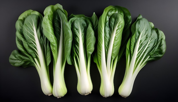 Bok choy en un fondo negro aislado